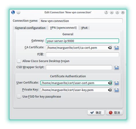 Linux AnyConnect setup